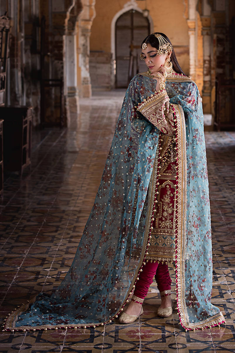 Zarlish By Mohsin Naveed Ranjha Bibi Lal Talpur Dynasty Festive Collection Vol 4